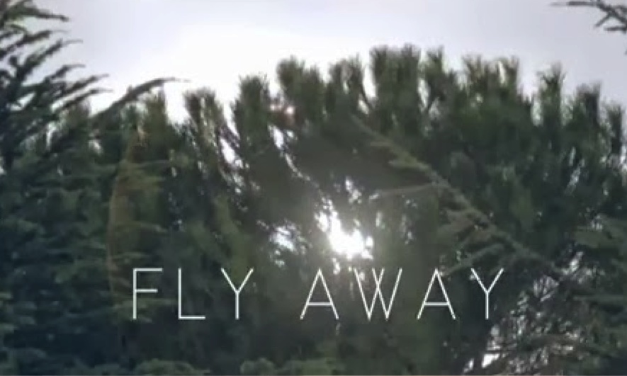 DAKANEH .FLY AWAY .VIDEOCLIP